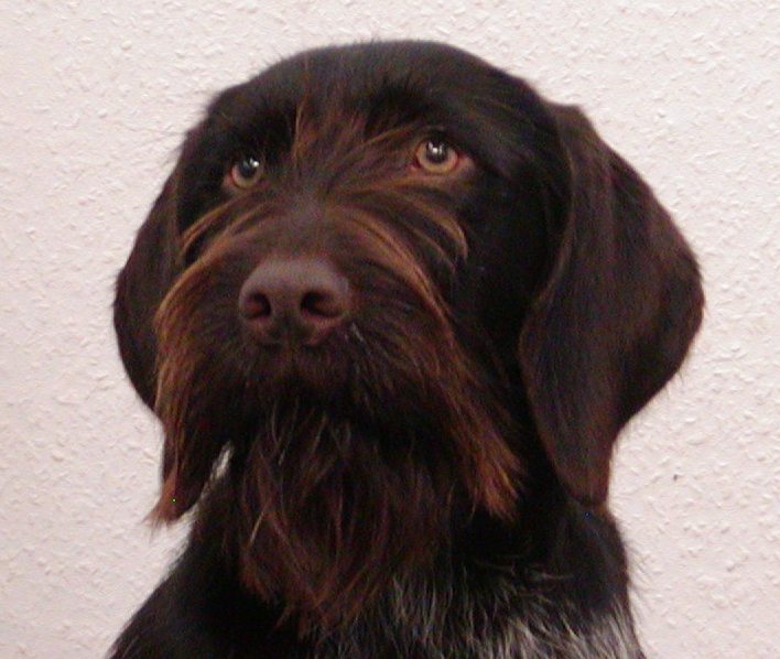 Jule v. DonaueckKopf