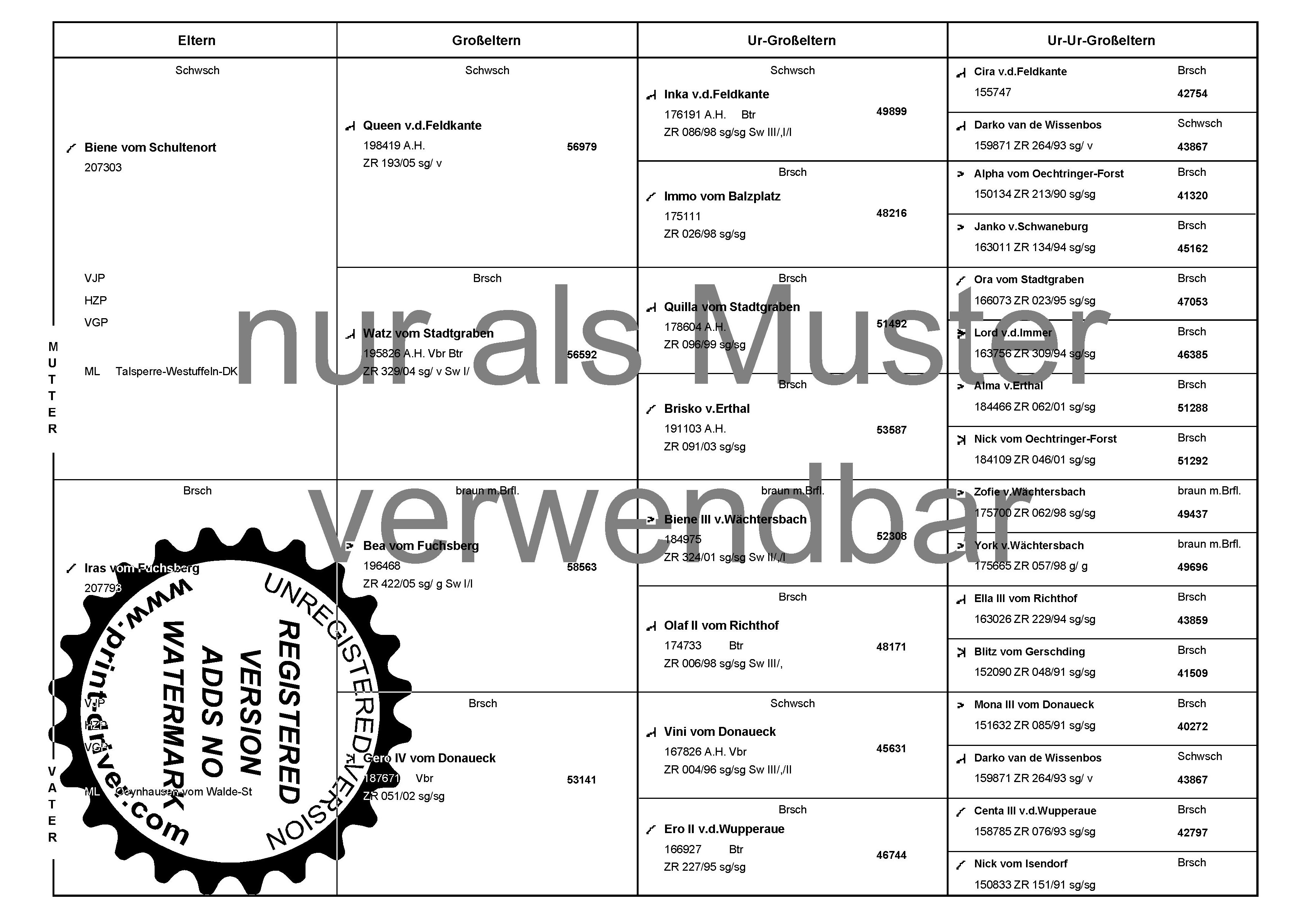 ahnentafel biene iras