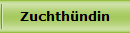 Zuchthndin