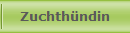 Zuchthndin
