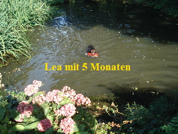 DSC00917