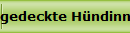 gedeckte Hndinnen