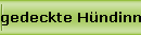 gedeckte H�ndinnen