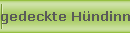 gedeckte H�ndinnen